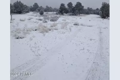 12 N3582 -- #(4.86 Acres), Vernon, AZ 85940 - Photo 5