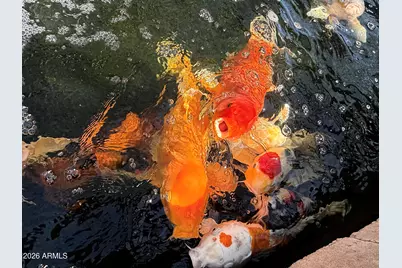 3708 E Wethersfield Road, Phoenix, AZ 85032 - Photo 31