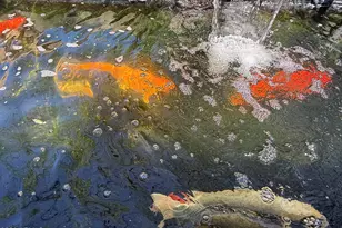 3708 E Wethersfield Rd, Phoenix, AZ 85032 - Photo 33