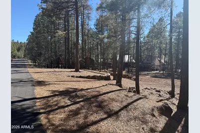 3430 Blacksmith Trail #-, Pinetop, AZ 85935 - Photo 5
