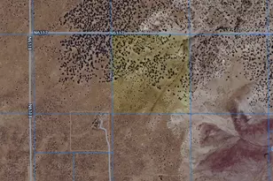 Tba 40 Acres E St Johns --, Saint Johns, AZ 85936 - Photo 1