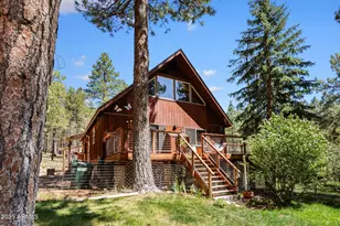 151 Deer Trail, Forest Lakes, AZ 85931 - Photo 1