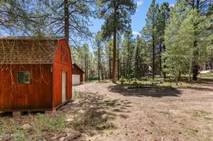 151 Deer Trail, Forest Lakes, AZ 85931 - Photo 35