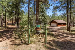 151 Deer Trail, Forest Lakes, AZ 85931 - Photo 43
