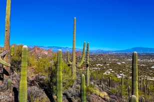 Tbd S Villa Sueno Lejos 10 Acres --, Tucson, AZ 85746 - Photo 1