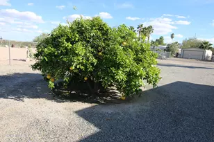 39919 S Dakota Pl, Salome, AZ 85348 - Photo 11