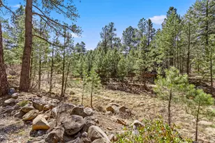 935 E Raintree Rd, Munds Park, AZ 86017 - Photo 43