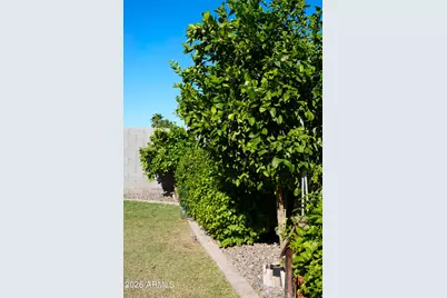 884 W Whistling Thorn Avenue, Queen Creek, AZ 85140 - Photo 23