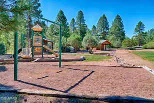 4520 W Tatanka Loop, Show Low, AZ 85901 - Photo 21