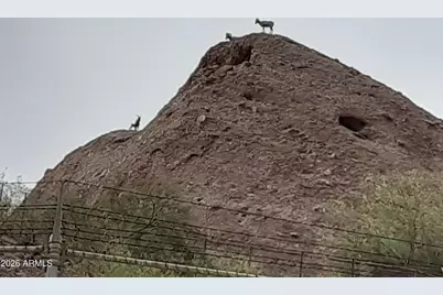 101 E Papago Drive E, Tempe, AZ 85288 - Photo 21