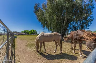 7040 N 177th Ave, Waddell, AZ 85355 - Photo 73