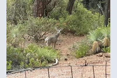 228 E Belluzzi Boulevard, Payson, AZ 85541 - Photo 53