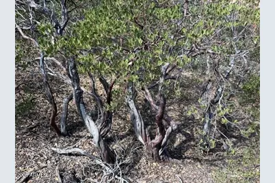 704 S Prestwick -- #140, Payson, AZ 85541 - Photo 57