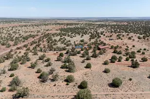 234 N9211, Snowflake, AZ 85937 - Photo 33