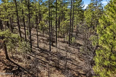 3581 W Senna Lane W #247, Show Low, AZ 85901 - Photo 3