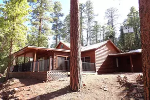 1734 Willow Mountain Rd, Happy Jack, AZ 86024 - Photo 29