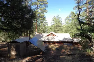 1734 Willow Mountain Rd, Happy Jack, AZ 86024 - Photo 11