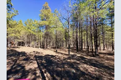 1865 Pine Canyon Drive #168, Happy Jack, AZ 86024 - Photo 3