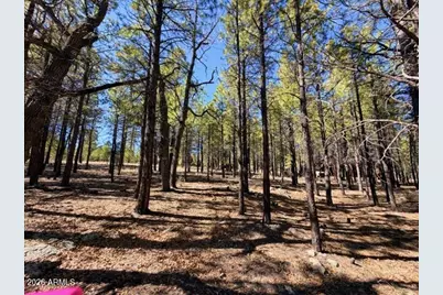 1865 Pine Canyon Drive #168, Happy Jack, AZ 86024 - Photo 5