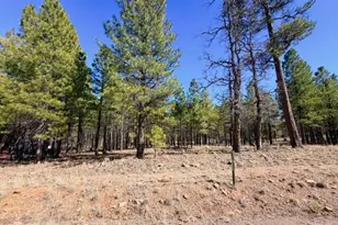 1865 Pine Canyon Dr, Happy Jack, AZ 86024 - Photo 1