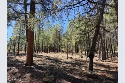 1921 Pine Canyon Drive #170, Happy Jack, AZ 86024 - Photo 3