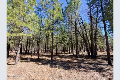 1921 Pine Canyon Drive #170, Happy Jack, AZ 86024 - Photo 5