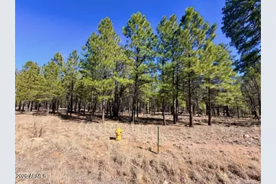 1921 Pine Canyon Drive #170, Happy Jack, AZ 86024 - Photo 1