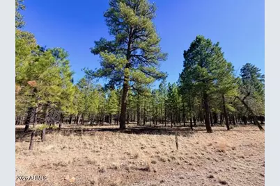 1947 Pine Canyon Drive #171, Happy Jack, AZ 86024 - Photo 3
