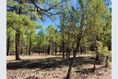 1947 Pine Canyon Drive #171, Happy Jack, AZ 86024 - Photo 5