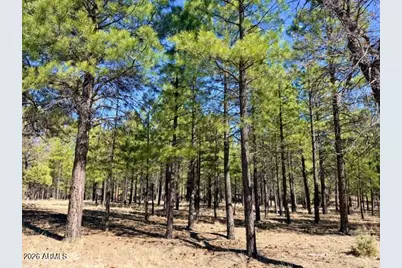 1947 Pine Canyon Drive #171, Happy Jack, AZ 86024 - Photo 1