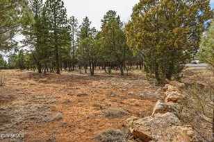 5884 Tamarron Dr, Happy Jack, AZ 86024 - Photo 41