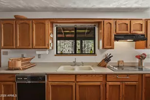 4602 Cinch Cir, Happy Jack, AZ 86024 - Photo 11