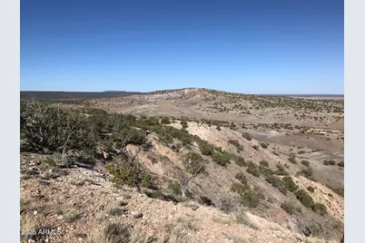 0 Lot N5338 -- #-, Concho, AZ 85924 - Photo 5
