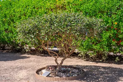 1916 N Jay Street, Chandler, AZ 85225 - Photo 43