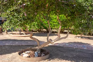 1916 N Jay St, Chandler, AZ 85225 - Photo 41