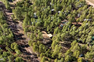 3622 Bear Trail, Lakeside, AZ 85929 - Photo 47