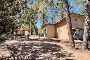 2175 Chevelon Rd, Overgaard, AZ 85933 - Photo 17