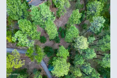 2200 W Whispering Springs, Show Low, AZ 85901 - Photo 93