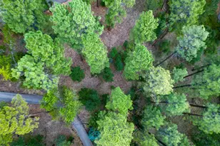 2200 W Whispering Springs, Show Low, AZ 85901 - Photo 93