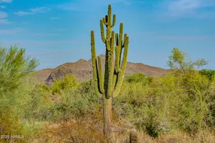 9990 E Desert Beauty Dr, Scottsdale, AZ 85255 - Photo 91