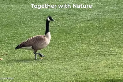 8840 S 51st Street #1, Phoenix, AZ 85044 - Photo 65