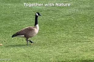 8840 S 51st St, Phoenix, AZ 85044 - Photo 65