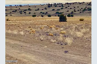 Tbd Co Rd 5150  1.22 Acres -- #-, Concho, AZ 85924 - Photo 11