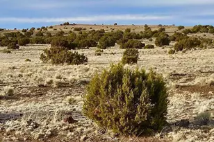 Tbd Co Rd 5150 1 22 Acres --, Concho, AZ 85924 - Photo 1