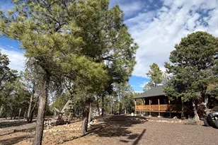 1769 Canyon Trail, Heber, AZ 85928 - Photo 43