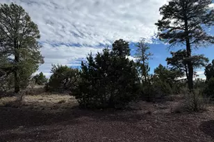 1769 Canyon Trail, Heber, AZ 85928 - Photo 47