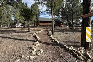 1769 Canyon Trail, Heber, AZ 85928 - Photo 3