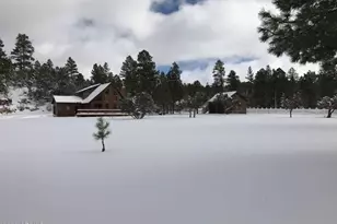 1884 E Artist Draw Rd, Heber, AZ 85928 - Photo 1