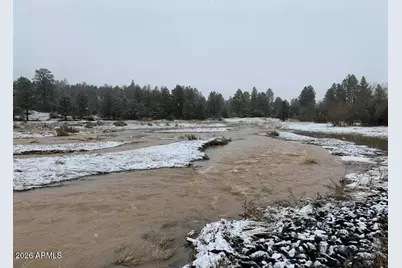 1884 E Artist Draw Road, Heber, AZ 85928 - Photo 15