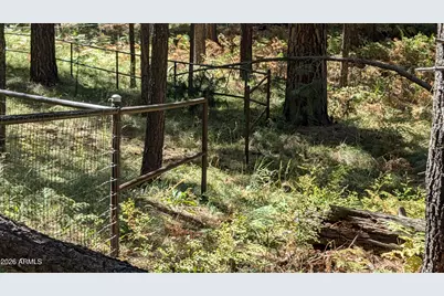 1878 Sheep Springs Road #427, Forest Lakes, AZ 85931 - Photo 9